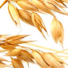 principi-Avena-Biologica